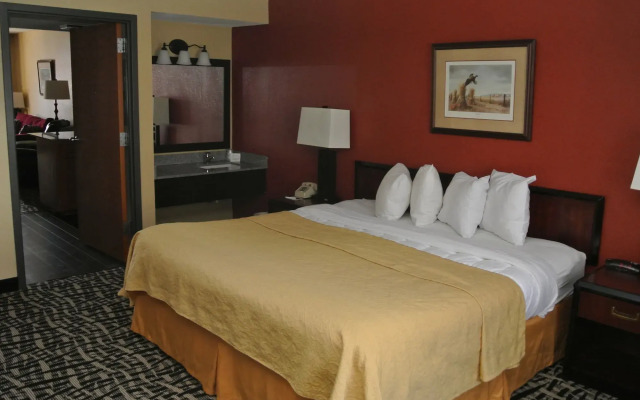 Quality Inn & Suites Mayo Clinic Area