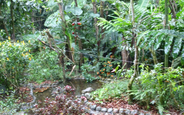 Casa Divina Eco Lodge