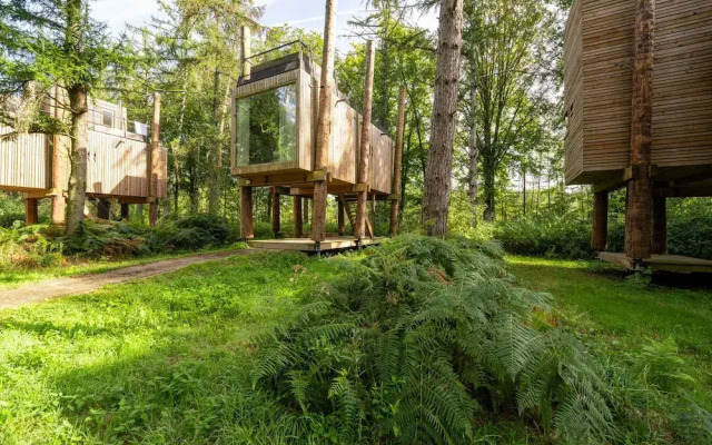 Stylish Retreat With Sauna