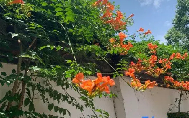 Wuyi Yangchun Shanju Guesthouse