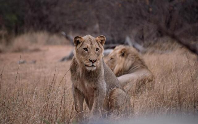 Tshukudu Game Lodge