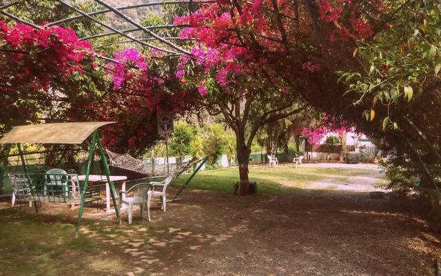 Fiesta Hotel
