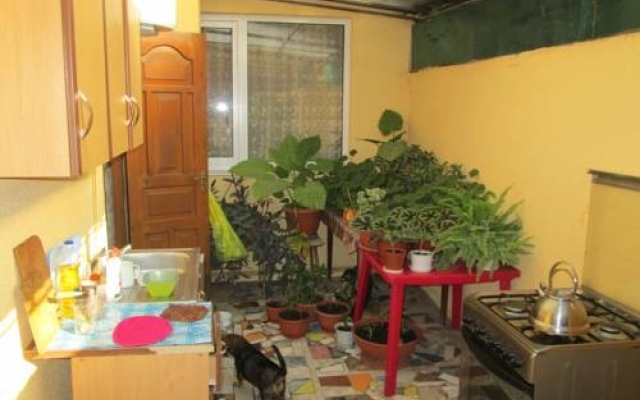 Guest House Veterok