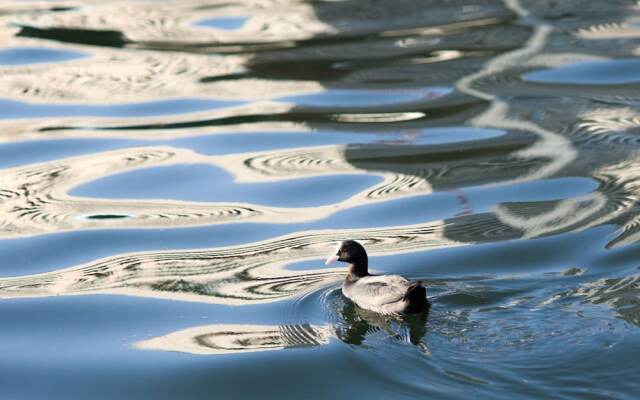 PETALS TOKYO - Floating Hotel