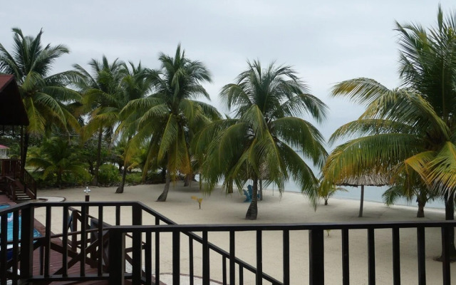 Green Parrot Beach Houses and Resort