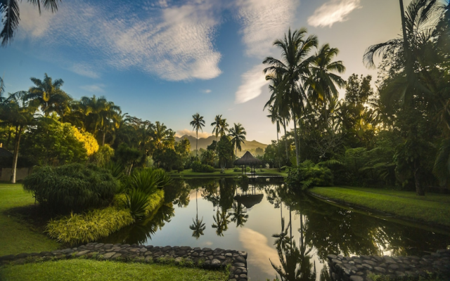 The Farm at San Benito