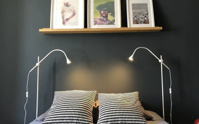 Deluxe city center flat