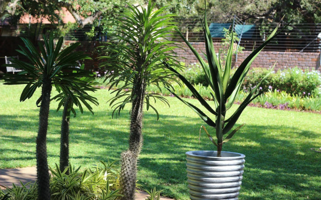 Ecolux Boutique Hotel