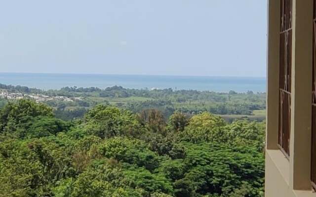 Kassa Wista Azzul 1 AC Shared pool