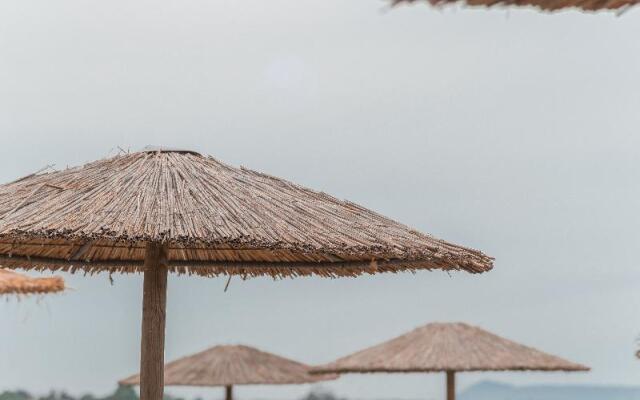 Olive Grove Beachfront