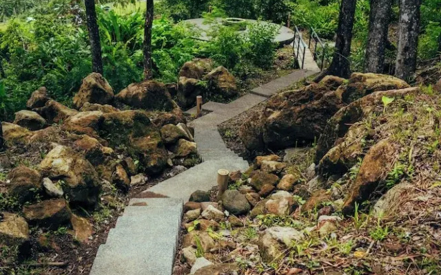 Matahom Forest Glamping Tent 2