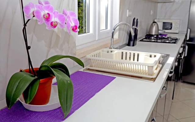 Apartment River Rose