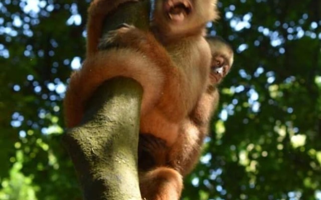 Wimba Expeditions