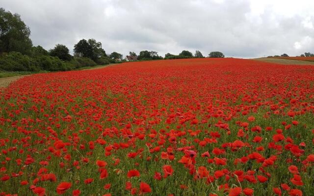 Ferienwohnung Bernsteinpark nur 350 m zum kilometerlangen Sandstrand