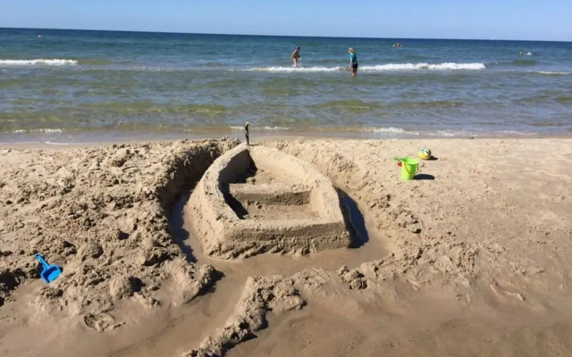 Black-headed Gull Comfortable Holiday Residence