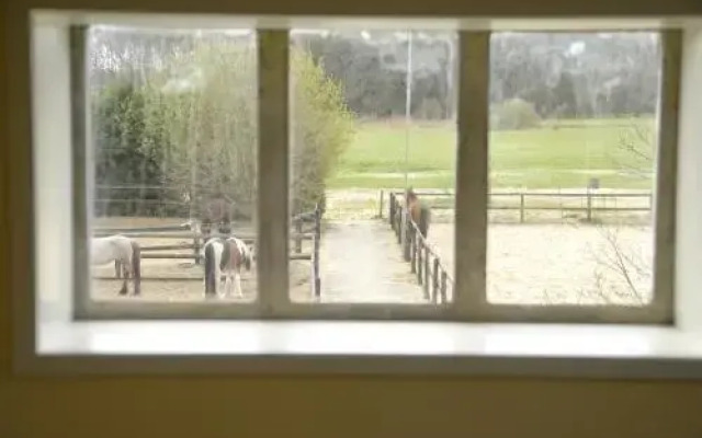 B&B Hoeve Morgenster