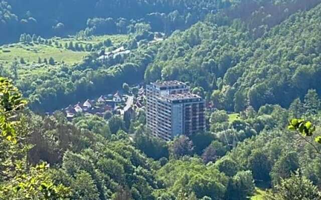 Hotel Aparthotel Panoramic Bad Lauterberg