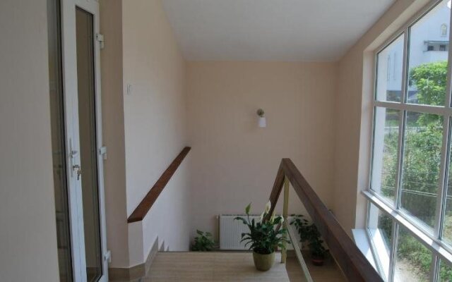 Hostel Paltinis