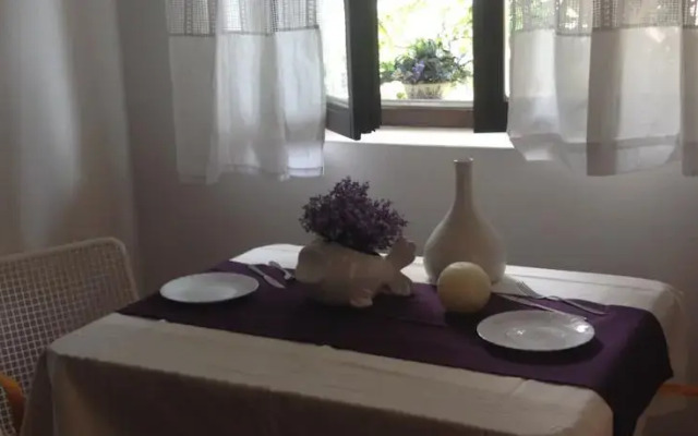 Bed And Breakfast Guest And Dogs Experience