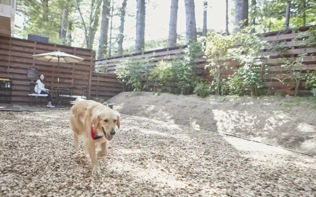 Le Chien Kyuu Karuizawa