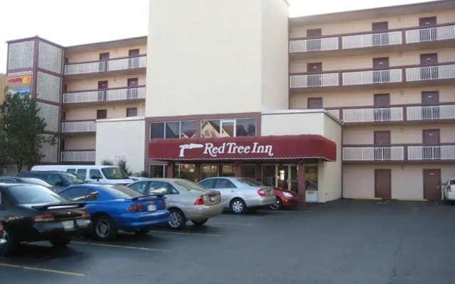 Oasis Hotel