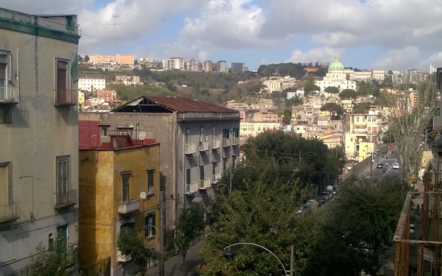 Fonseca Naples
