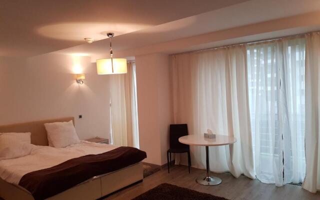 Silver Poiana Brasov Ap 41