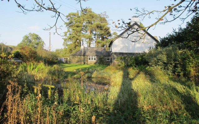 Crook Farm