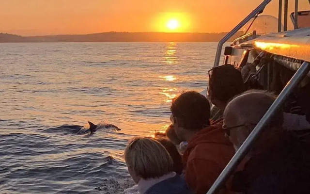 Beautiful 1-bed Apartment