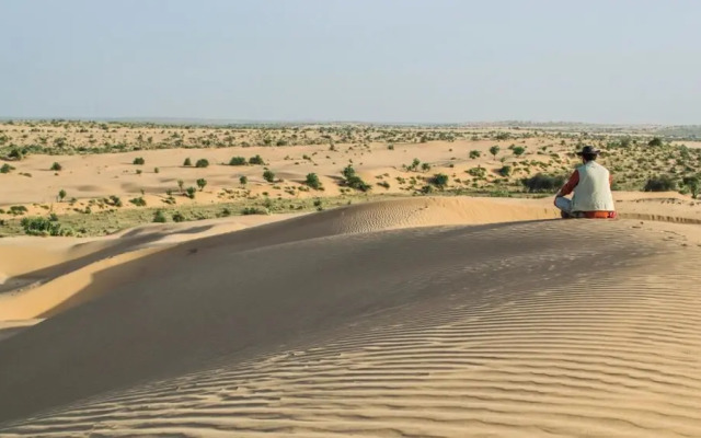 Amazing Desert Camp