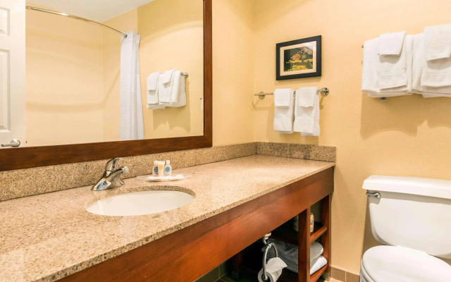 Comfort Suites Normal University area