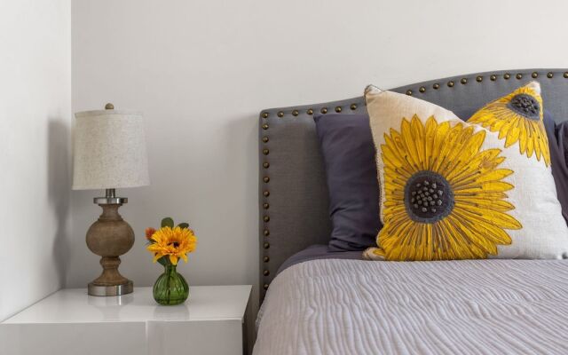 TOP 5 DT Riverside Walking Trails Free Parking