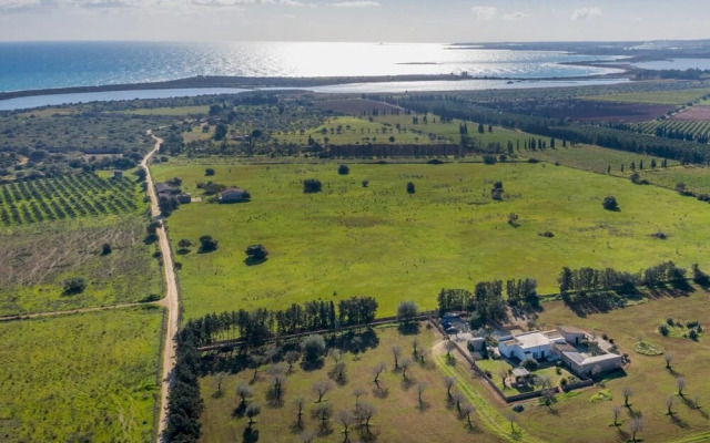 Sr-f943-cven0at - Calamosche - La Mannera