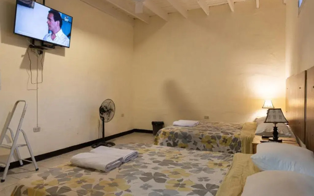 Wild Olive Guest House