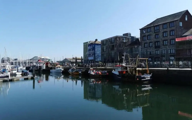 Beautiful 2-bed Seaview Apartment in Plymouth