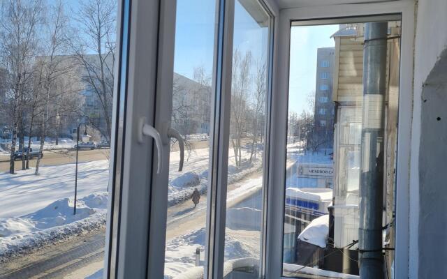 Nice Apartments on Pushkinskaya street 235