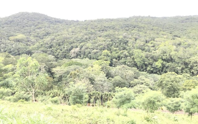 Mango Walk Inn