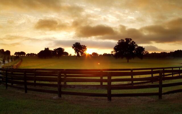 Best Western Ocala Park Centre