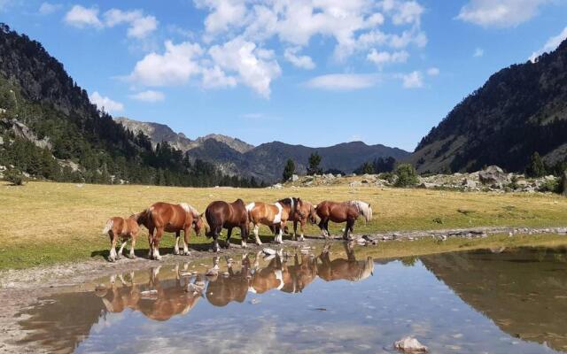 Studio Cauterets, 1 pièce, 3 personnes - FR-1-401-85