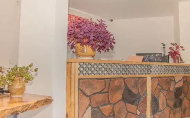 Dali rainforest time inn