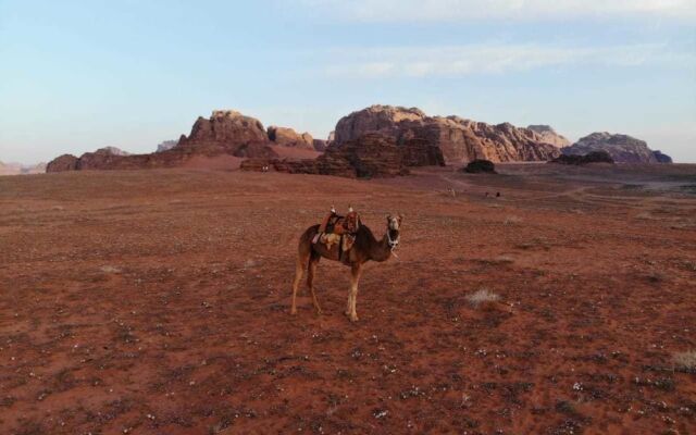 Bedouins Desert camp