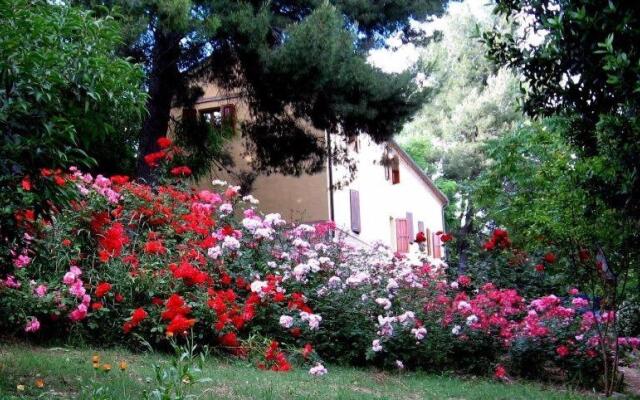 Agriturismo La Casa della Lavanda - Il Casale