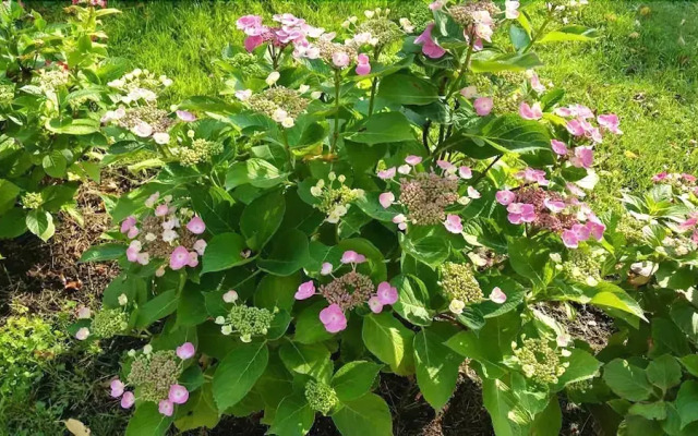 La Ferme De Saint Julien