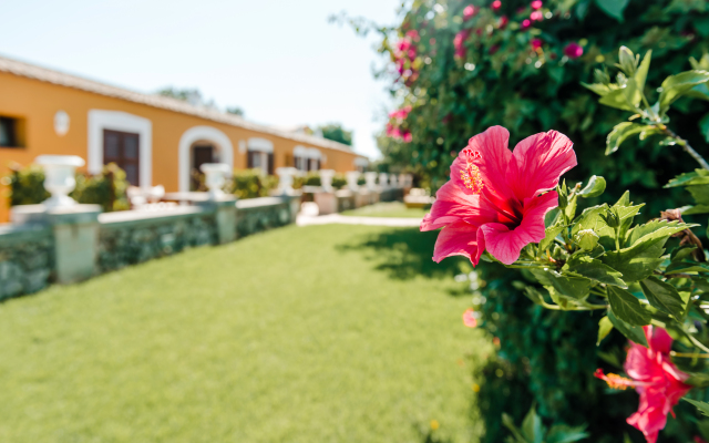 Hotel Rural Sant Ignasi