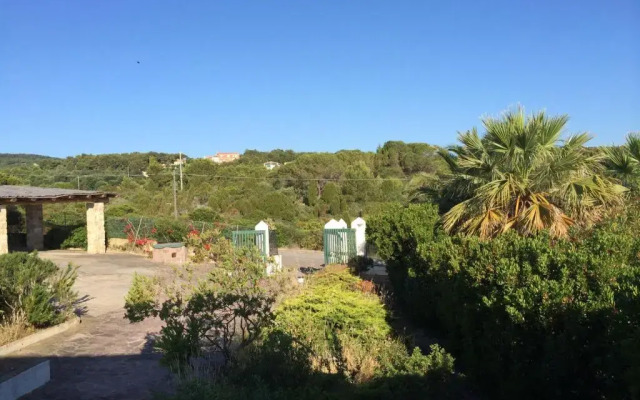 Carloforte Palme House