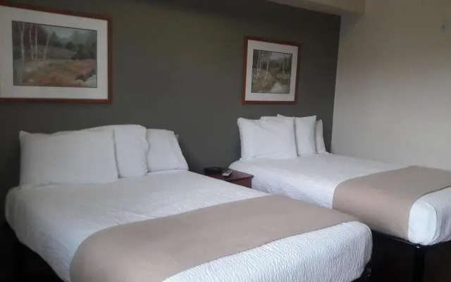 Best Studio Inn