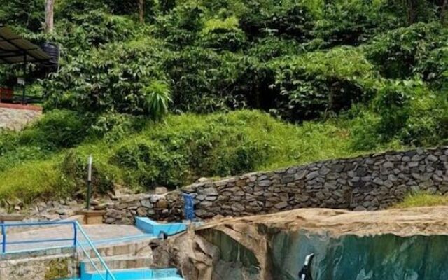 CG-Ala The Coffee Grove