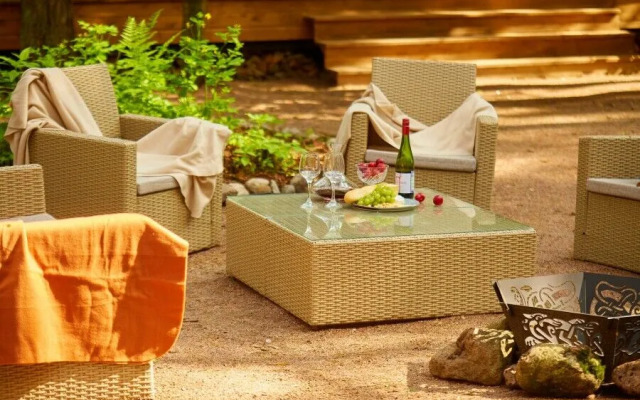 Репинские дачи