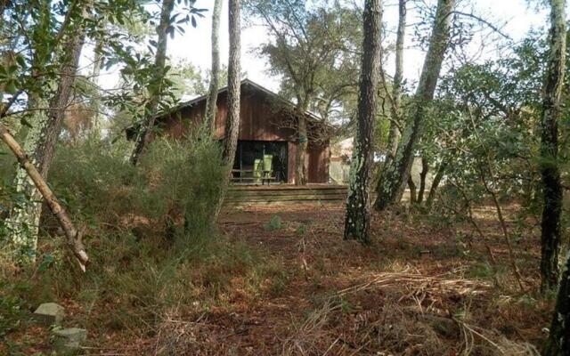 Villa Soustons, 5 pièces, 8 personnes - FR-1-379-83
