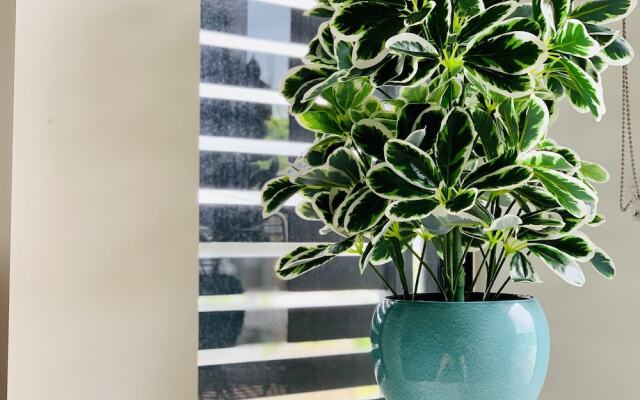 WHITSUNDAY Spacious & Comfortable, Moments from Picturesque Boardwalk